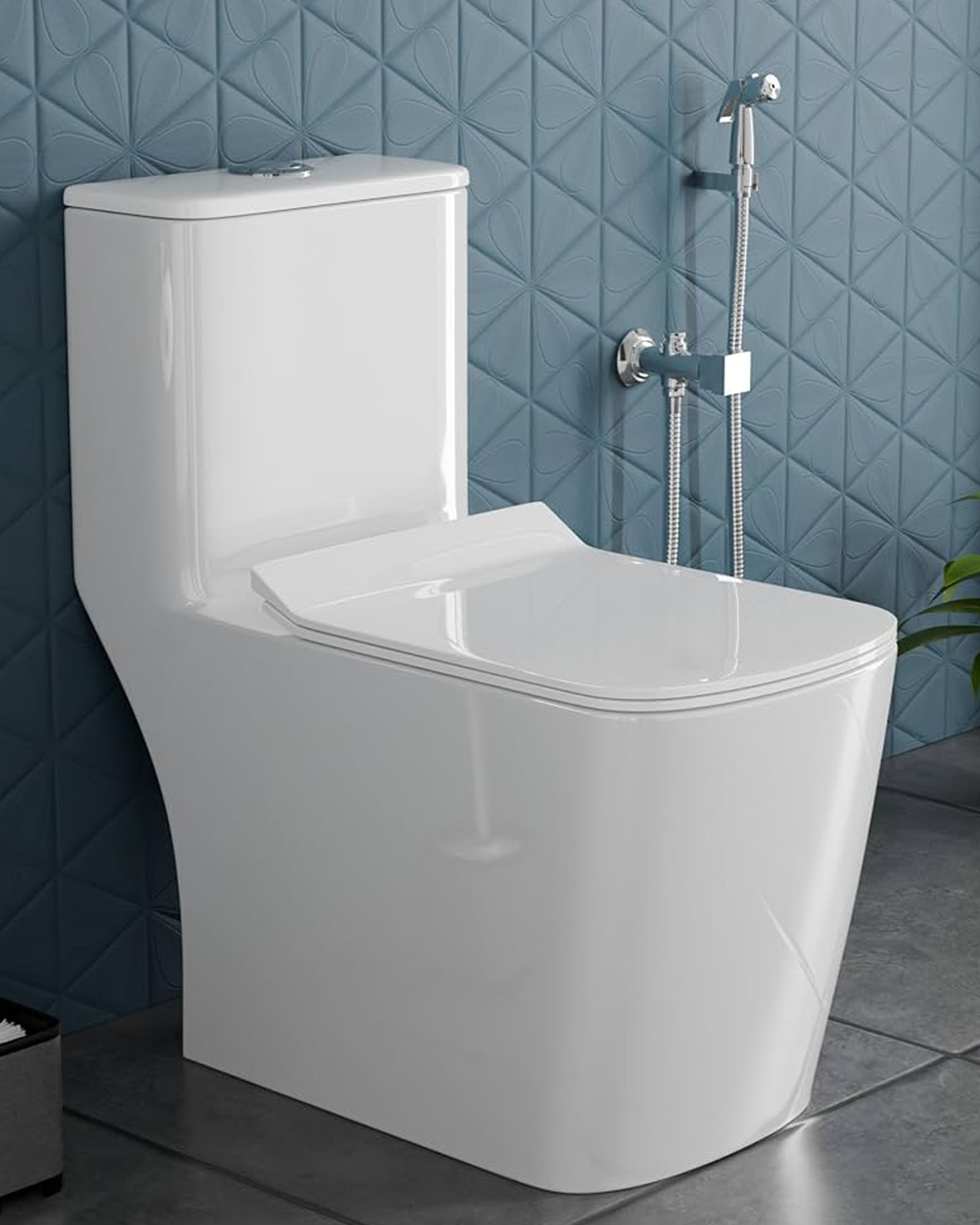 Toilet Seat